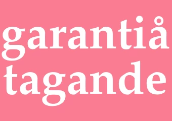 Synonym garantiåtagande