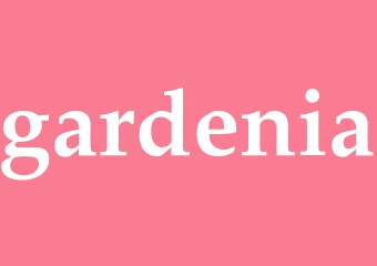 Synonym gardenia