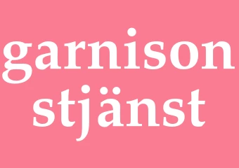 Synonym garnisonstjänst