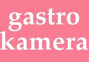 Synonym gastrokamera