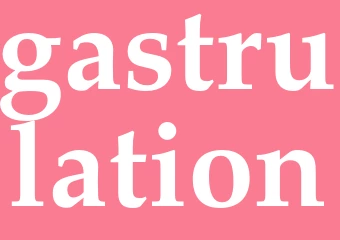 Synonym gastrulation