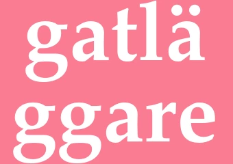 Synonym gatläggare