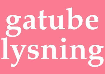 Synonym gatubelysning