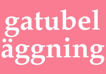 Synonym gatubeläggning