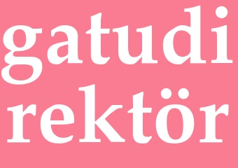 Synonym gatudirektör