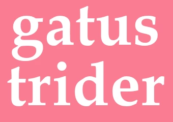 Synonym gatustrider