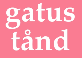Synonym gatustånd