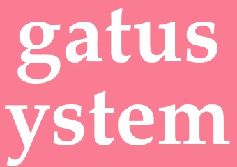 Synonym gatusystem