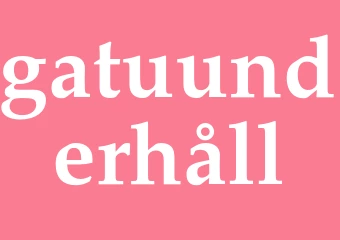 Synonym gatuunderhåll