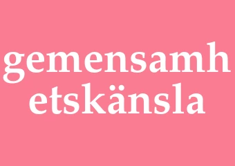 Synonym gemensamhetskänsla