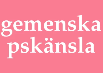Synonym gemenskapskänsla