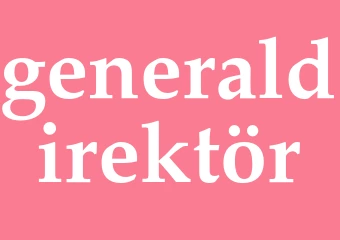Synonym generaldirektör