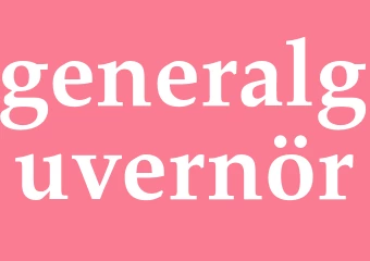 Synonym generalguvernör