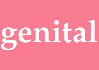 Synonym genital
