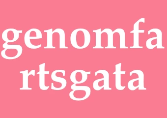 Synonym genomfartsgata