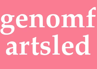 Synonym genomfartsled