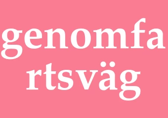 Synonym genomfartsväg