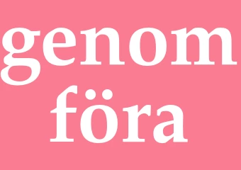 Synonym genomföra