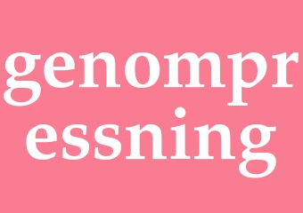 Synonym genompressning