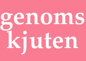 Synonym genomskjuten