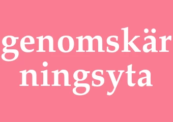 Synonym genomskärningsyta
