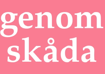 Synonym genomskåda
