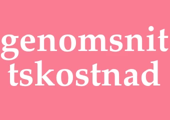Synonym genomsnittskostnad