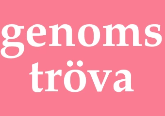 Synonym genomströva