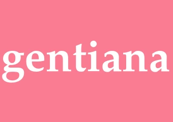 Synonym gentiana