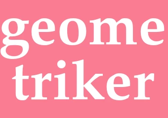 Synonym geometriker
