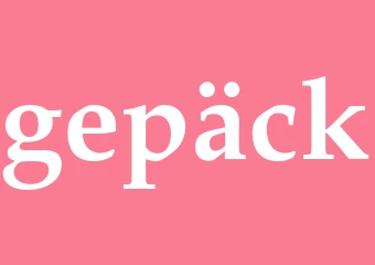 Synonym gepäck