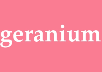 Synonym geranium