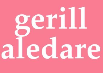 Synonym gerillaledare