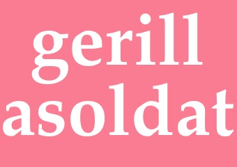 Synonym gerillasoldat