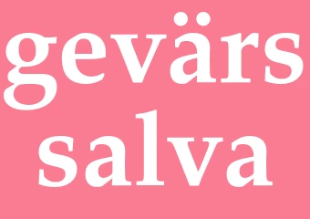 Synonym gevärssalva