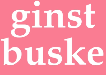 Synonym ginstbuske