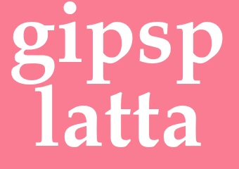 Synonym gipsplatta