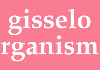 Synonym gisselorganism