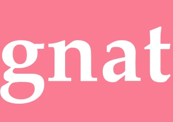 Synonym gnat
