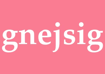 Synonym gnejsig