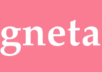 Synonym gneta