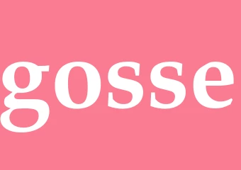 Synonym gosse