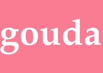 Synonym gouda