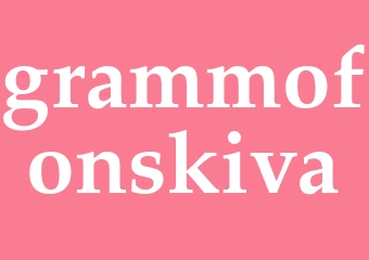 Synonym grammofonskiva