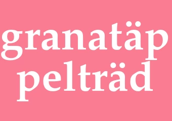 Synonym granatäppelträd