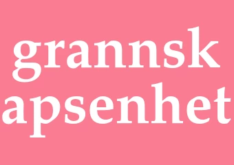 Synonym grannskapsenhet