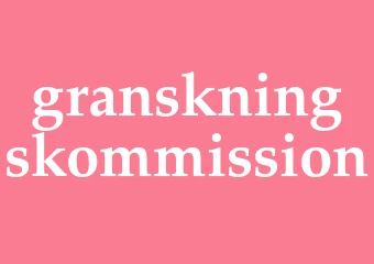 Synonym granskningskommission