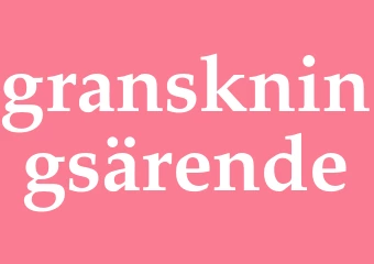 Synonym granskningsärende