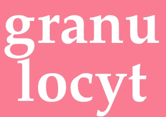 Synonym granulocyt