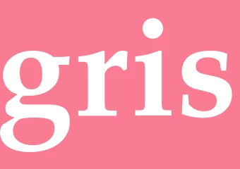 Synonym gris